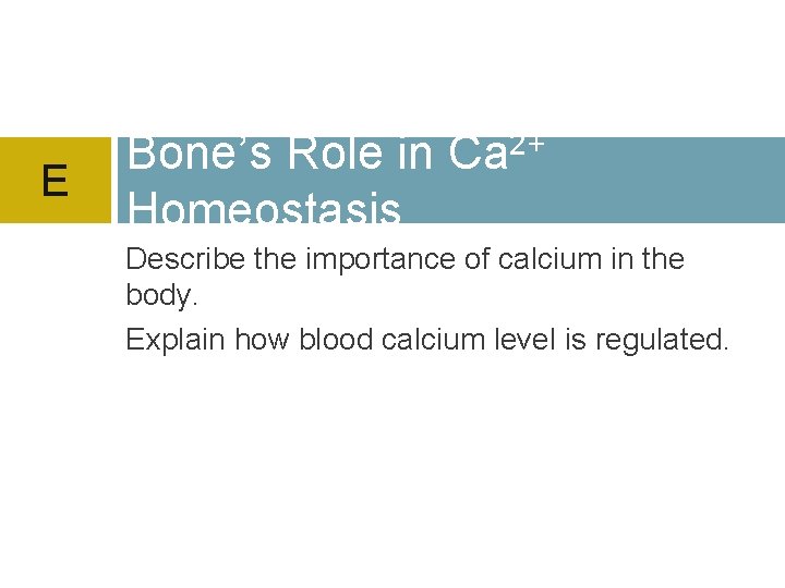 E Bone’s Role in Ca 2+ Homeostasis Describe the importance of calcium in the