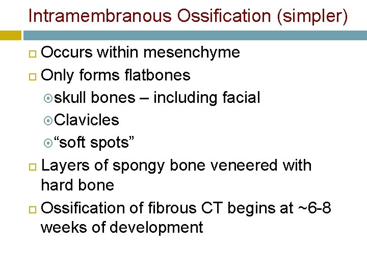 Intramembranous Ossification (simpler) Occurs within mesenchyme Only forms flatbones skull bones – including facial
