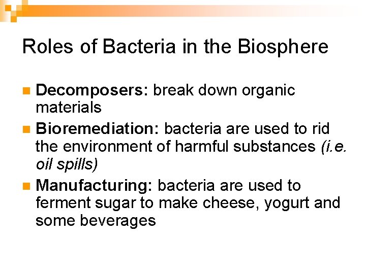 Roles of Bacteria in the Biosphere Decomposers: break down organic materials n Bioremediation: bacteria