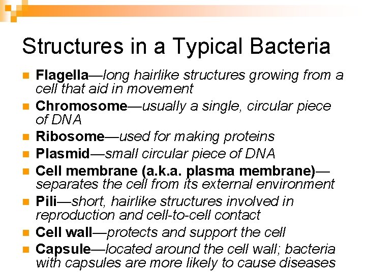 Structures in a Typical Bacteria n n n n Flagella—long hairlike structures growing from