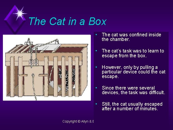 The Cat in a Box • The cat was confined inside the chamber. •