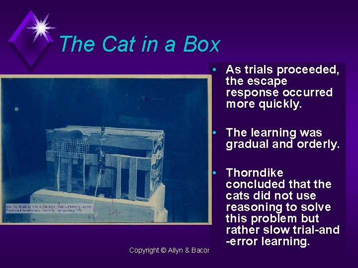 The Cat in a Box • As trials proceeded, the escape response occurred more