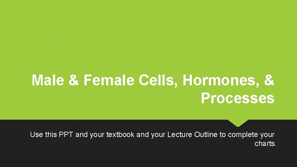 Male & Female Cells, Hormones, & Processes Use this PPT and your textbook and