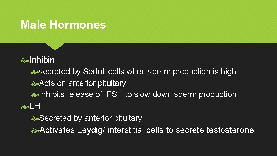 Male Hormones Inhibin secreted by Sertoli cells when sperm production is high Acts on