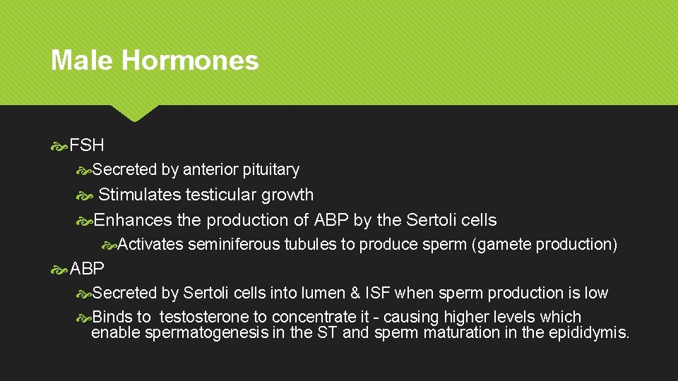 Male Hormones FSH Secreted by anterior pituitary Stimulates testicular growth Enhances the production of