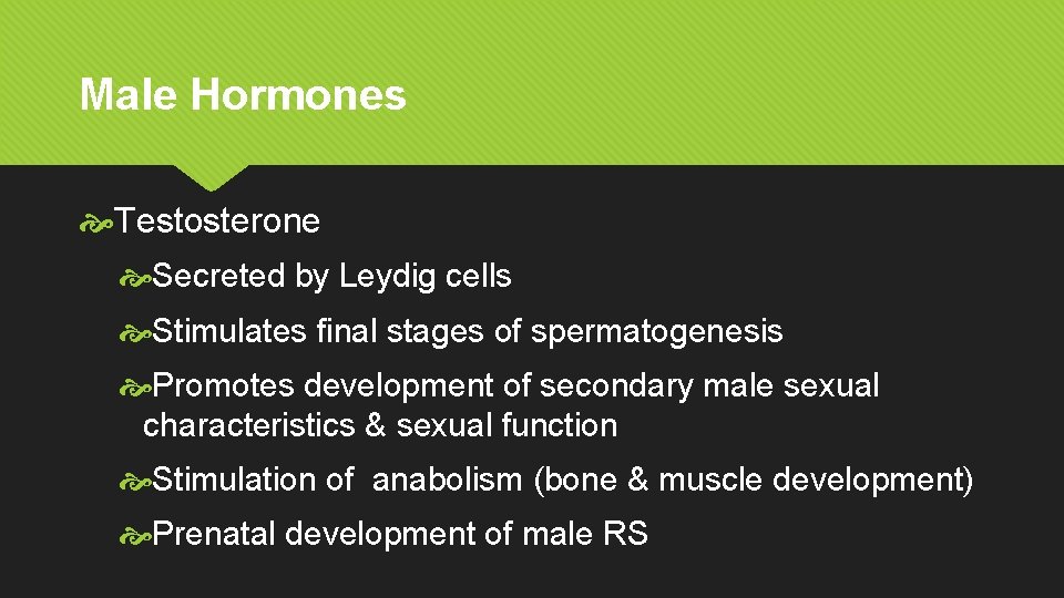 Male Hormones Testosterone Secreted by Leydig cells Stimulates final stages of spermatogenesis Promotes development