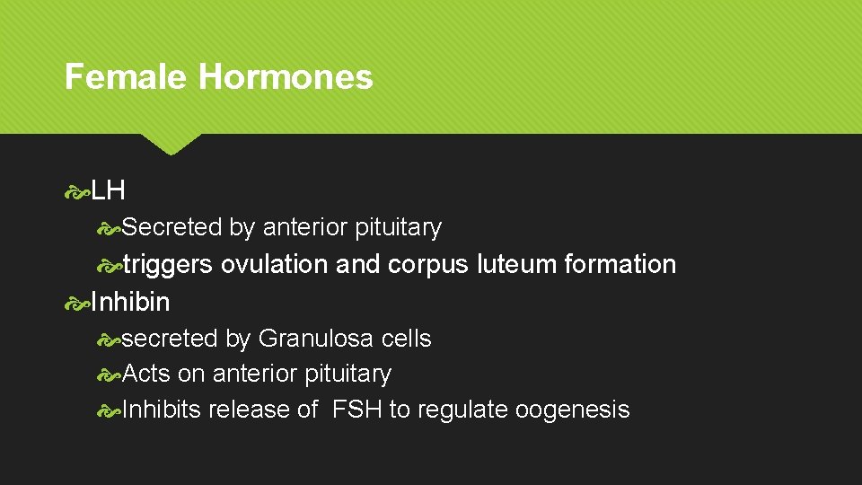 Female Hormones LH Secreted by anterior pituitary triggers ovulation and corpus luteum formation Inhibin