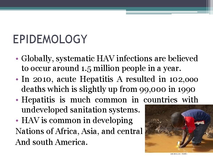EPIDEMOLOGY • Globally, systematic HAV infections are believed to occur around 1. 5 million