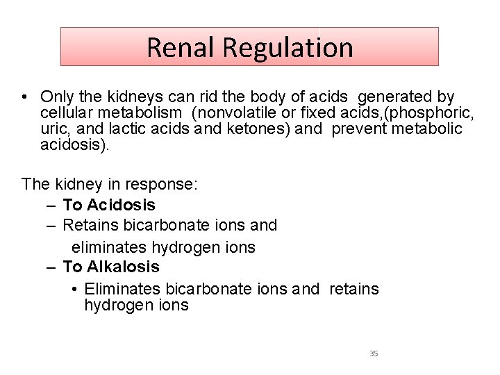 Renal Regulation • Only the kidneys can rid the body of acids generated by