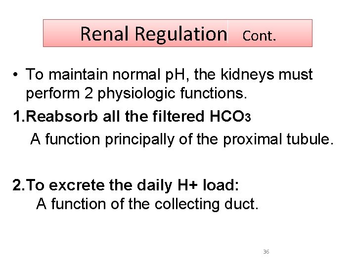 Renal Regulation Cont. • To maintain normal p. H, the kidneys must perform 2