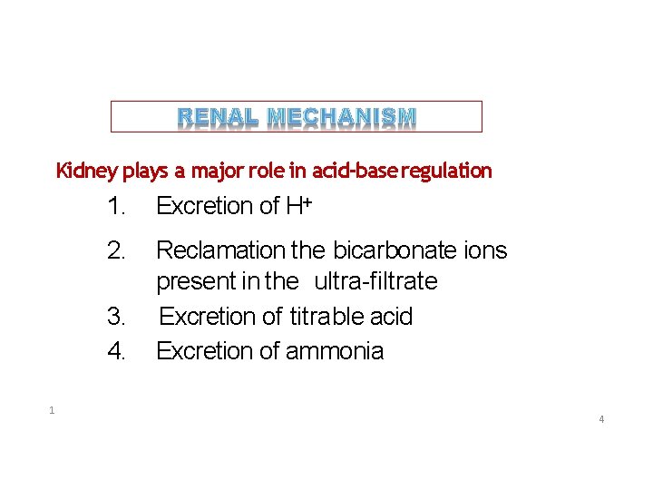 Kidney plays a major role in acid-base regulation 1. Excretion of H+ 2. Reclamation