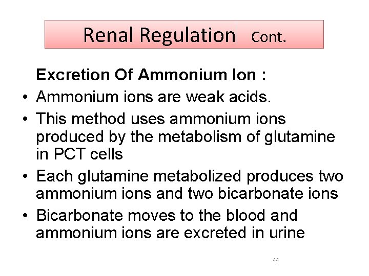 Renal Regulation • • Cont. Excretion Of Ammonium Ion : Ammonium ions are weak