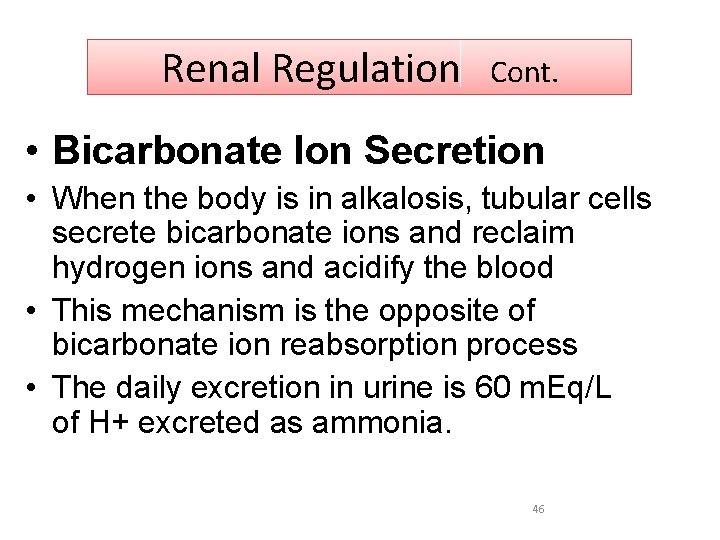 Renal Regulation Cont. • Bicarbonate Ion Secretion • When the body is in alkalosis,