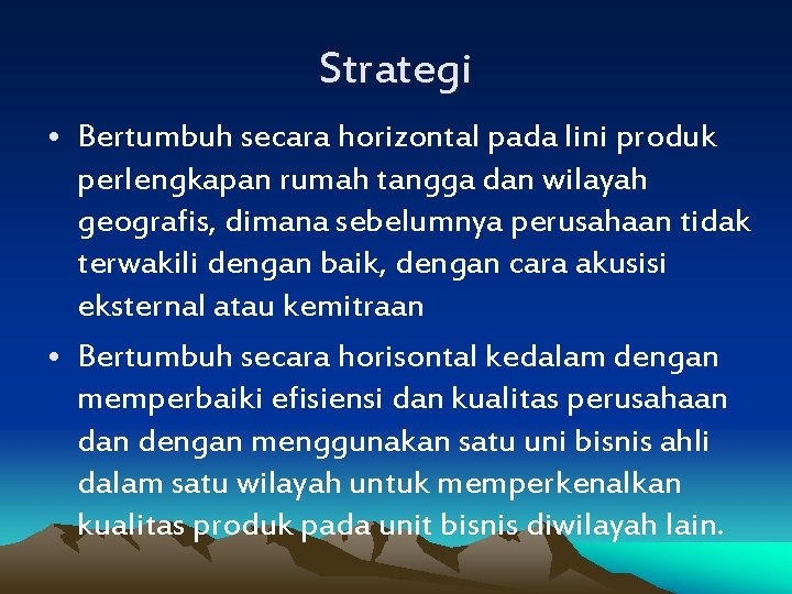 Strategi • Bertumbuh secara horizontal pada lini produk perlengkapan rumah tangga dan wilayah geografis,