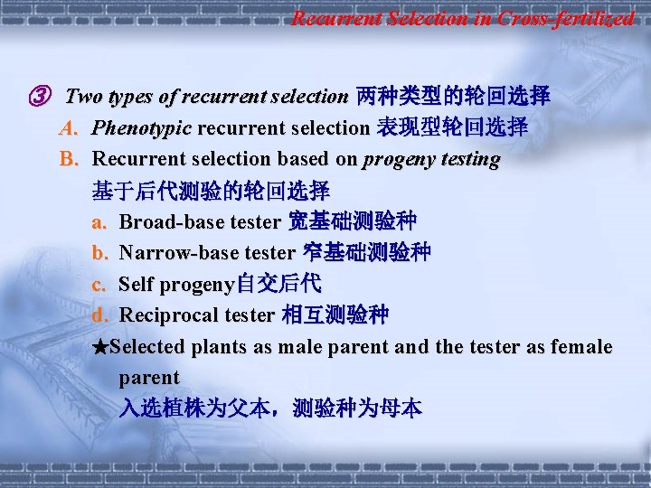 Recurrent Selection in Cross-fertilized ③ Two types of recurrent selection 两种类型的轮回选择 A. Phenotypic recurrent