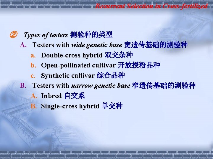 Recurrent Selection in Cross-fertilized ② Types of testers 测验种的类型 A. Testers with wide genetic