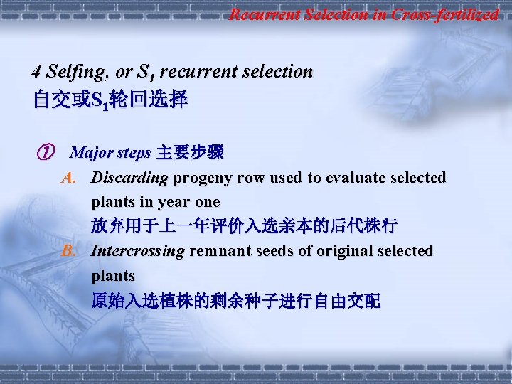 Recurrent Selection in Cross-fertilized 4 Selfing, or S 1 recurrent selection 自交或S 1轮回选择 ①
