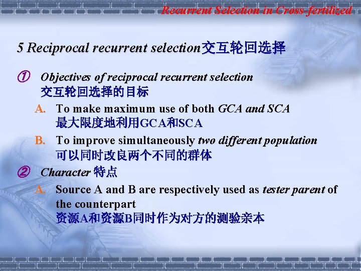 Recurrent Selection in Cross-fertilized 5 Reciprocal recurrent selection交互轮回选择 ① Objectives of reciprocal recurrent selection