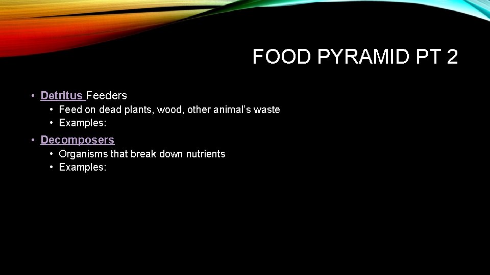 FOOD PYRAMID PT 2 • Detritus Feeders • Feed on dead plants, wood, other