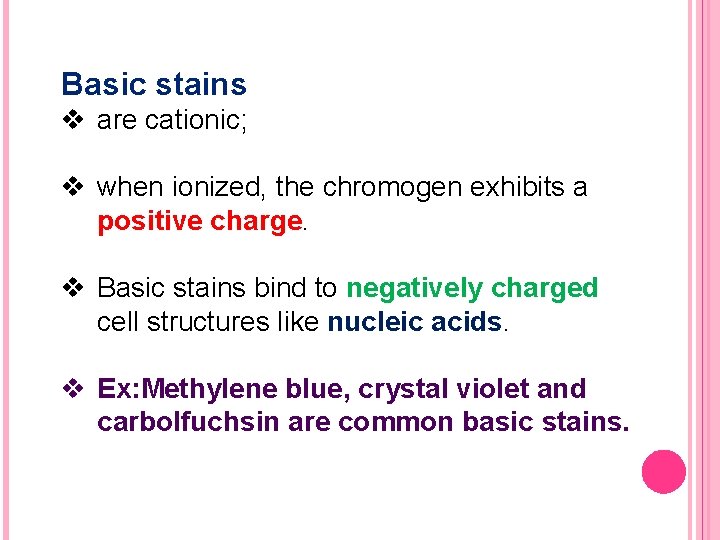 Basic stains v are cationic; v when ionized, the chromogen exhibits a positive charge.
