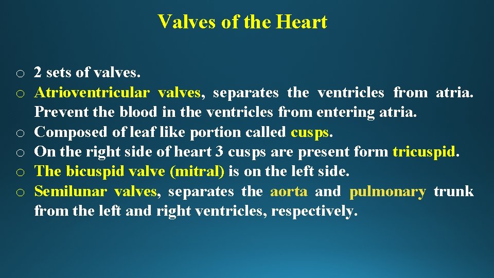 Valves of the Heart o 2 sets of valves. o Atrioventricular valves, separates the
