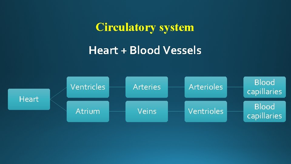 Circulatory system Heart + Blood Vessels Ventricles Arterioles Blood capillaries Atrium Veins Ventrioles Blood