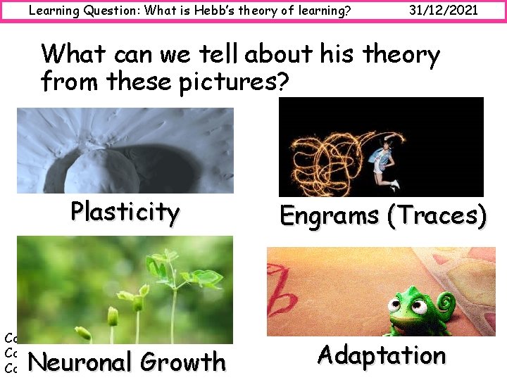 Learning Question: What is Hebb’s theory of learning? 31/12/2021 What can we tell about