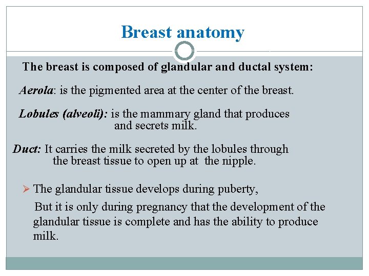 Breast anatomy The breast is composed of glandular and ductal system: Aerola: is the