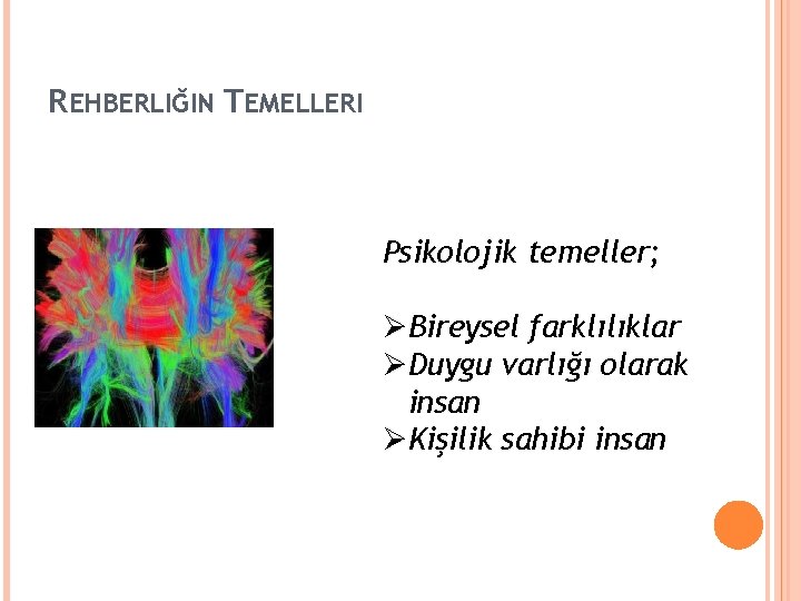 REHBERLIĞIN TEMELLERI Psikolojik temeller; ØBireysel farklılıklar ØDuygu varlığı olarak insan ØKişilik sahibi insan 