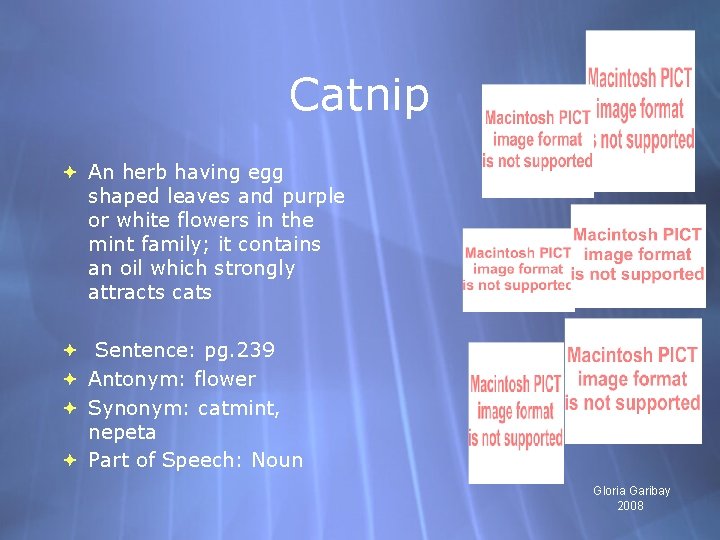 Catnip An herb having egg shaped leaves and purple or white flowers in the