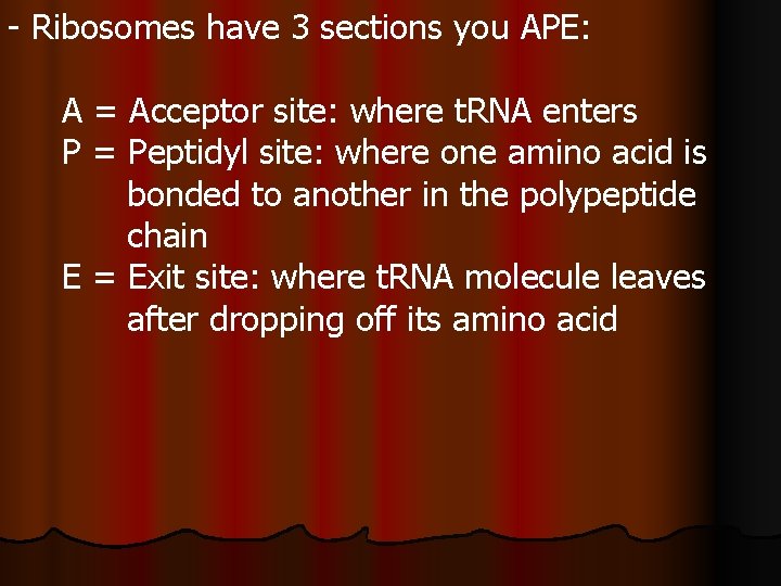 - Ribosomes have 3 sections you APE: A = Acceptor site: where t. RNA