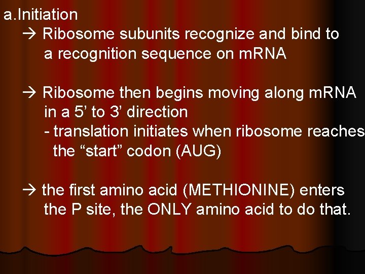 a. Initiation Ribosome subunits recognize and bind to a recognition sequence on m. RNA