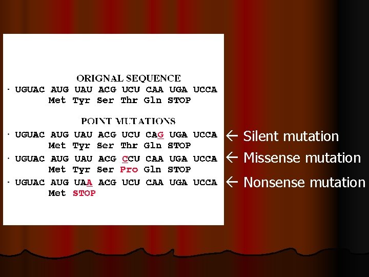  Silent mutation Missense mutation Nonsense mutation 