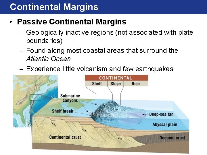 Continental Margins • Passive Continental Margins – Geologically inactive regions (not associated with plate