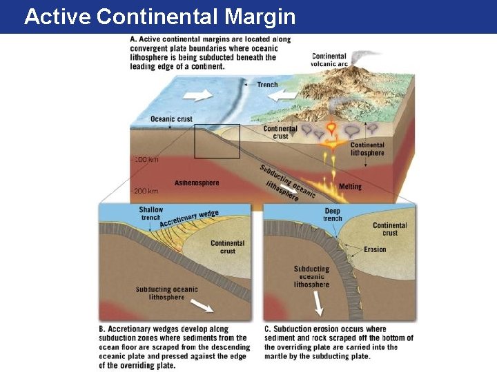 Active Continental Margin 