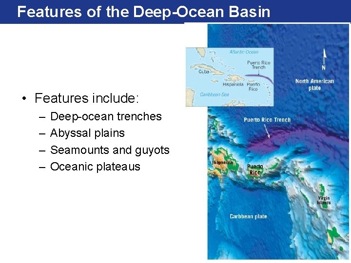 Features of the Deep-Ocean Basin • Features include: – – Deep-ocean trenches Abyssal plains