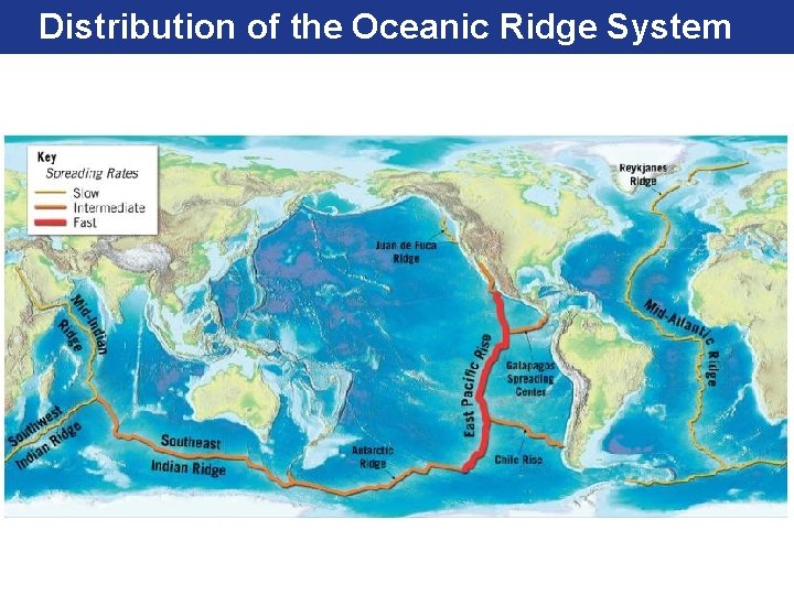 Distribution of the Oceanic Ridge System 