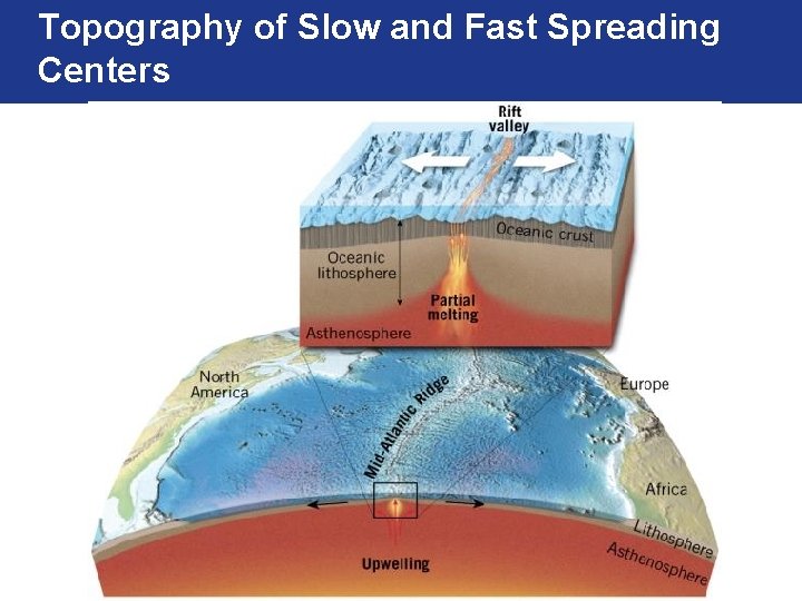 Topography of Slow and Fast Spreading Centers 