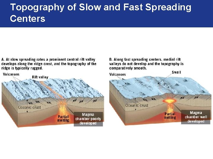 Topography of Slow and Fast Spreading Centers 