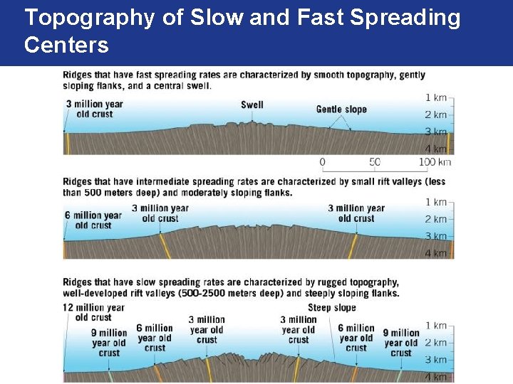 Topography of Slow and Fast Spreading Centers 