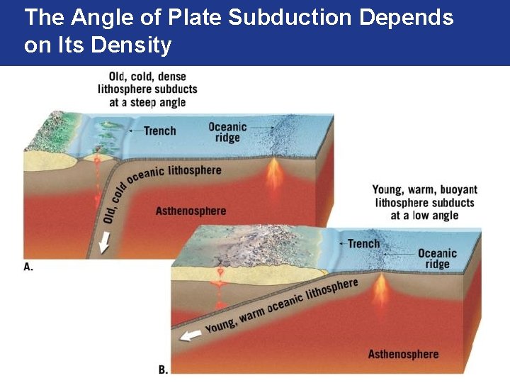 The Angle of Plate Subduction Depends on Its Density 