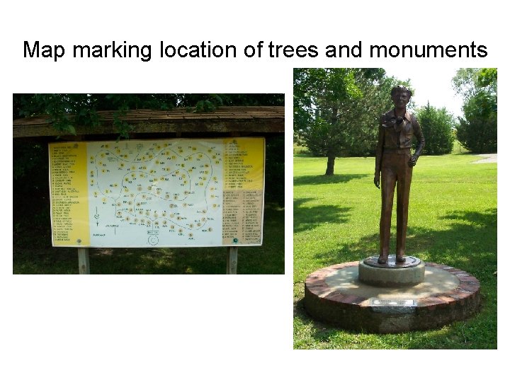 Map marking location of trees and monuments 