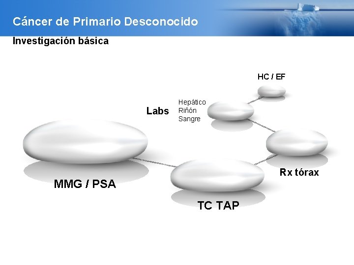 Cáncer de Primario Desconocido Investigación básica HC / EF Labs Hepático Riñón Sangre Rx