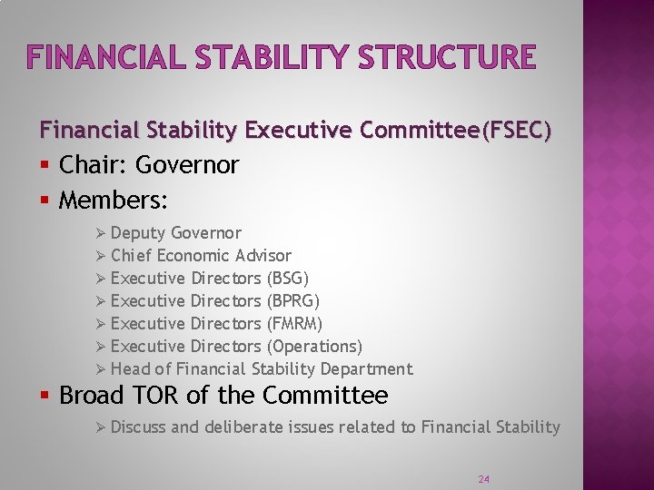 FINANCIAL STABILITY STRUCTURE Financial Stability Executive Committee(FSEC) § Chair: Governor § Members: Deputy Governor