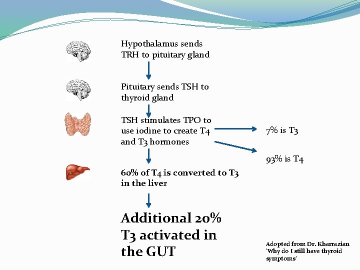 Hypothalamus sends TRH to pituitary gland Pituitary sends TSH to thyroid gland TSH stimulates