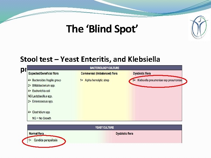 The ‘Blind Spot’ Stool test – Yeast Enteritis, and Klebsiella pneumoniae positive 