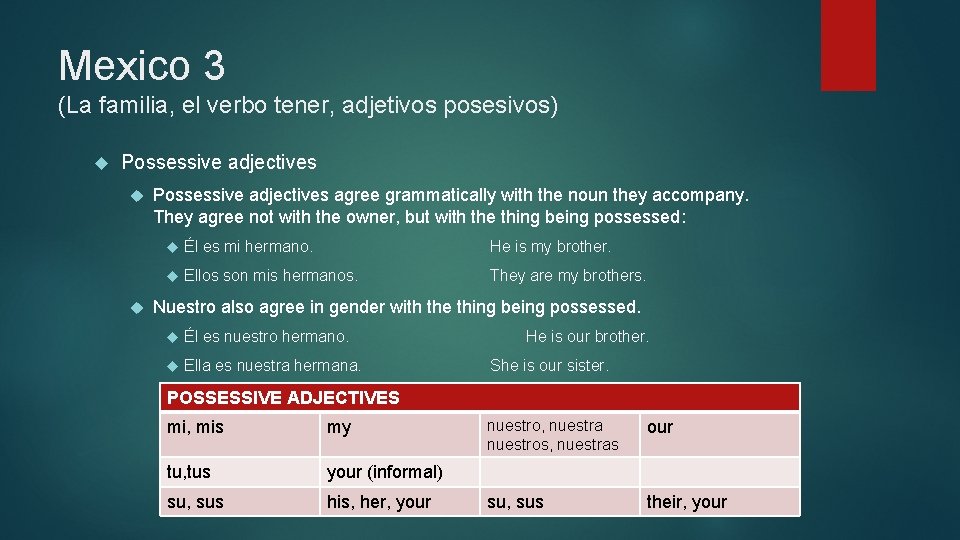 Mexico 3 (La familia, el verbo tener, adjetivos posesivos) Possessive adjectives agree grammatically with