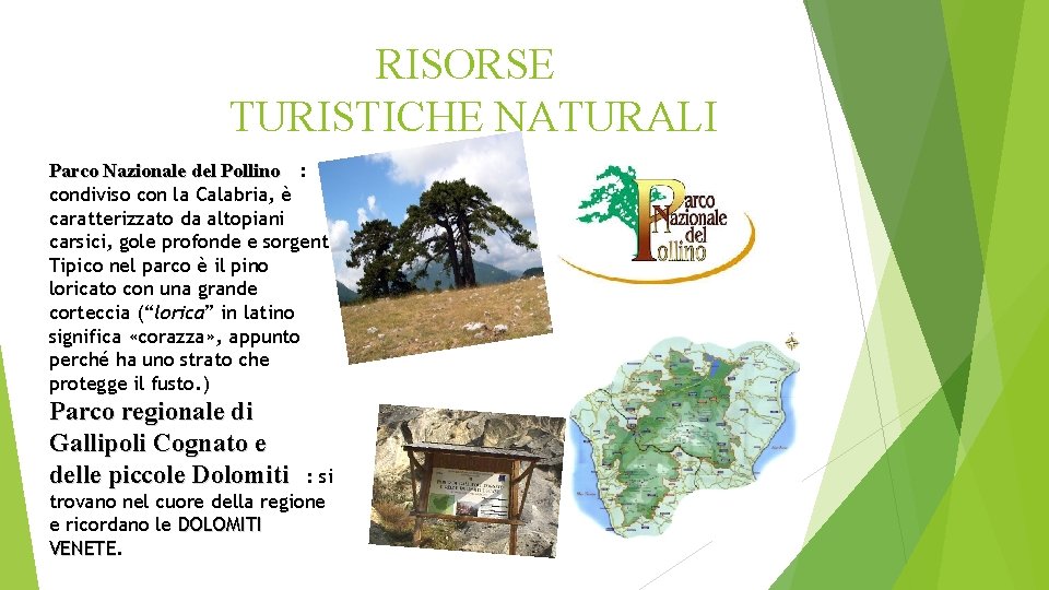 RISORSE TURISTICHE NATURALI Parco Nazionale del Pollino : condiviso con la Calabria, è caratterizzato