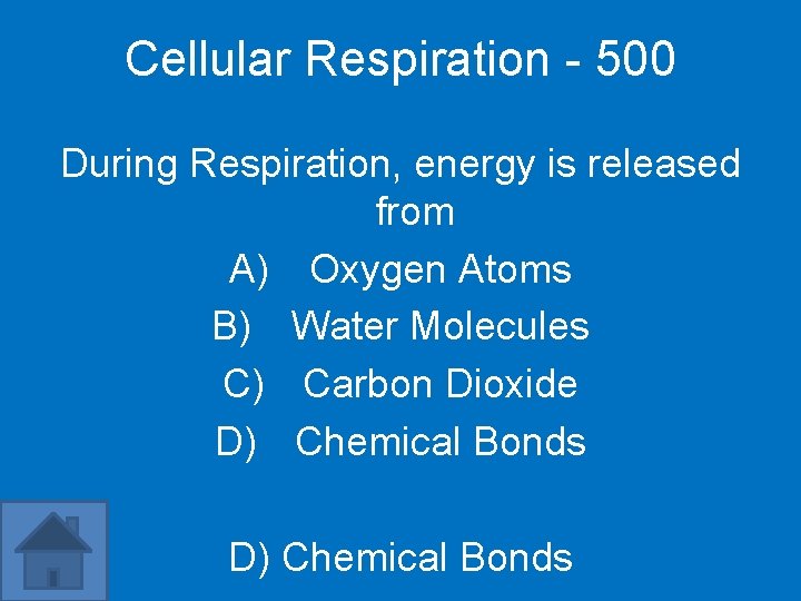Cellular Respiration - 500 During Respiration, energy is released from A) Oxygen Atoms B)