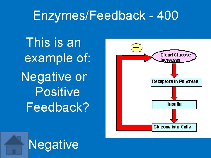 Enzymes/Feedback - 400 This is an example of: Negative or Positive Feedback? Negative 